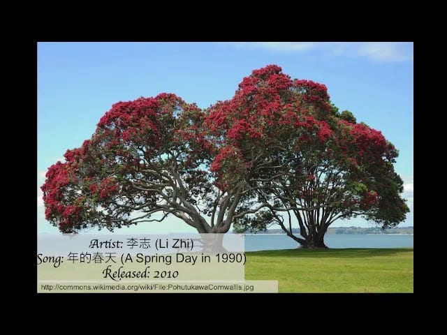 经典六四禁歌 之1990年的春天 歐洲生活